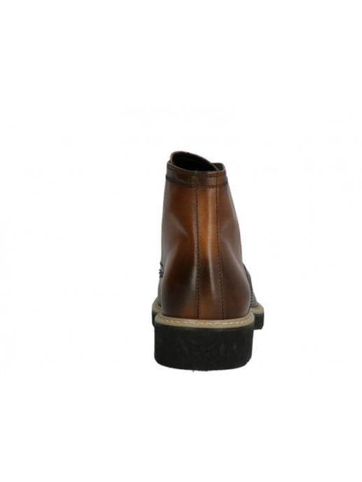 Lorenzi 2838 - Image 6