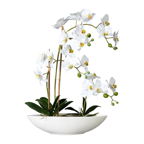 Kopu ® kunstbloem orchidee 60 cm met schaal ovaal phalenopsis - Image 1
