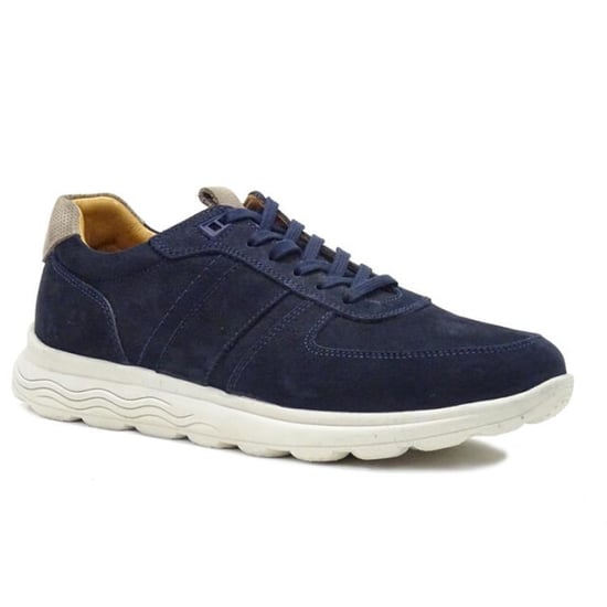 Berkelmans Sears - Image 1