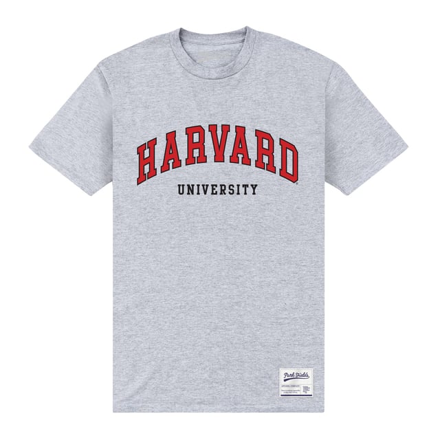 HARVARD プリント Tシャツ グレー Harvard T-Shirt (Arch Logo, Oxford Gray) | Harvard Book Store