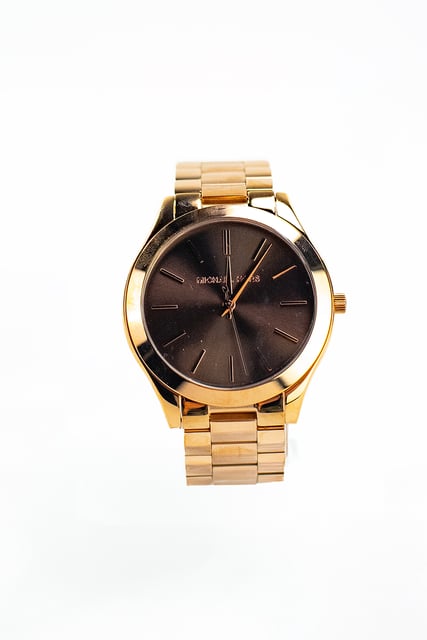Gold Toned Stainless Steel Brown Dial Wrist Watch