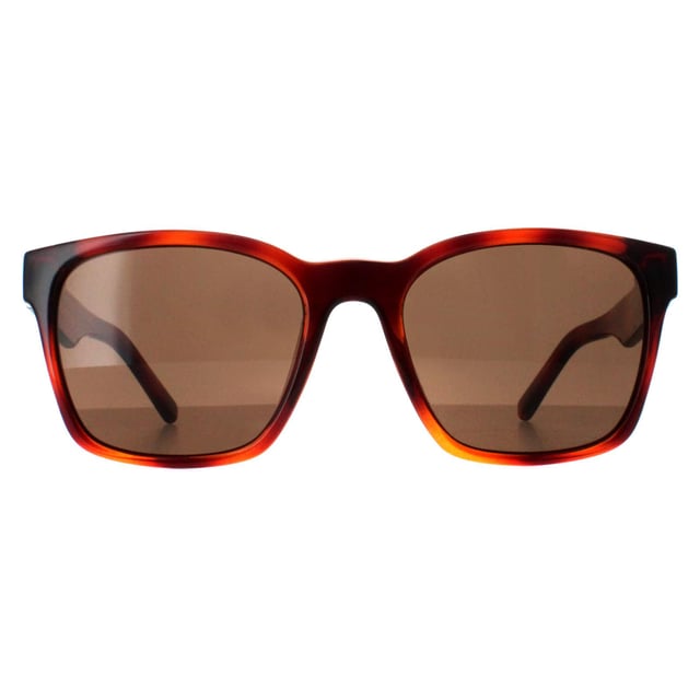 Salvatore Ferragamo SF959S 214 tortoise bruin zonnebril