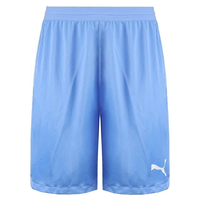 Puma DryCell TeamFinal 21 Stretch Waist Mens Light Blue Shorts - Main Image