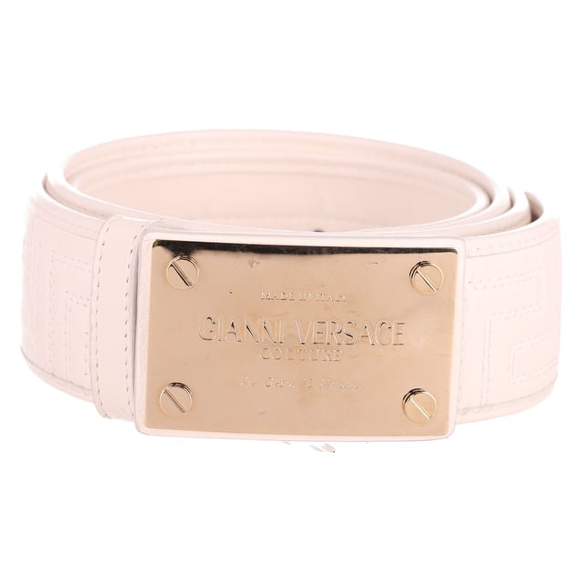 Metal hotsell plate belt