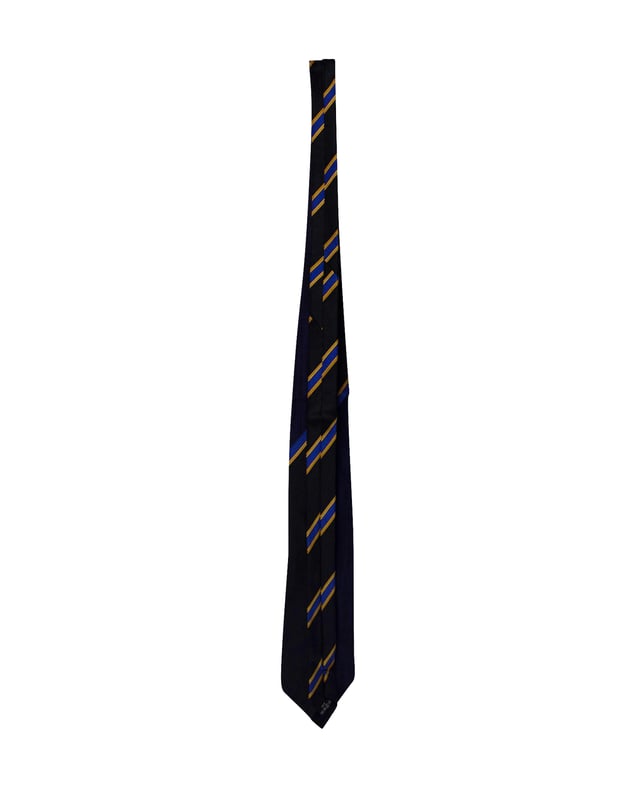 VINTAGE, RRP AS NEW
This Gianni Versace is stitched to perfection in a navy blue shade. Made from silk, the creation features the label's iconic stripe detail for a unique appeal. It is sure to add oodles of style to your formal ensemble.



Gianni Versace Printed Tie in Navy Blue Silk
Condition: excellent
Material: Silk
Size: one size
Sign of wear: No
SKU: 196371