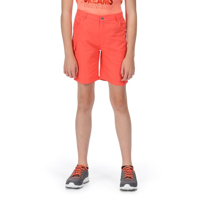 Regatta Kinderen/Kinderen Sorcer II Shorts (Neon Peach) Materiaal: 100% polyester. 100% lichtgewicht polyamide stof. Duurzame waterafstotende afwerking. Snel droog. Vouwvast. Gedeeltelijk elastische taille met knoopverstellingssysteem. Multi-pockets. Reflecterende bekleding. Borstomvang: (2 jaar): 53-55 cm, (3-4 jaar): 55-57 cm, (5-6 jaar): 59-61 cm, (7-8 jaar): 63-67 cm, (9-10 jaar): 69-73 cm, (11-12 jaar): 75-79 cm, (13 jaar): 82 cm, (14 jaar): 86 cm, (15-16 jaar): 89-92 cm.