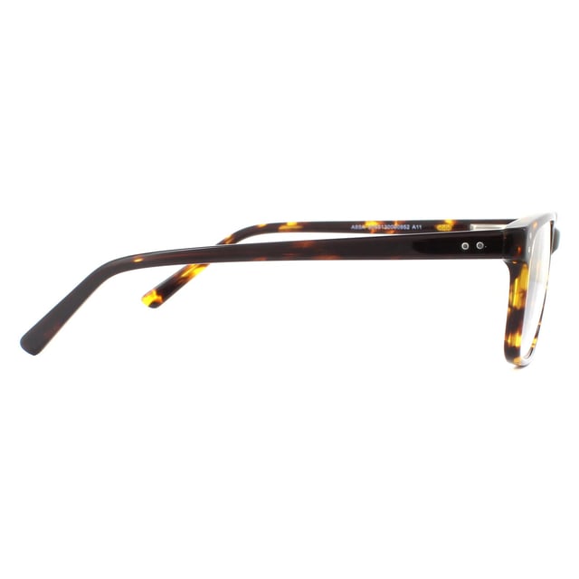 Sunoptics glasses 2025