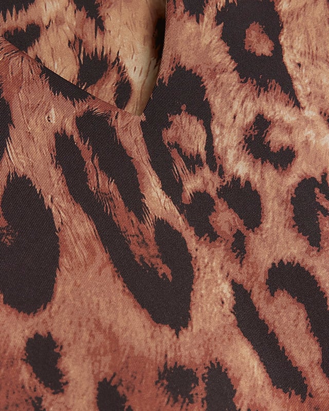 Leopard print, V neck, Sleeveless