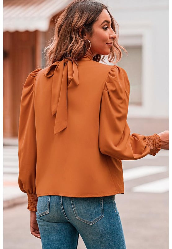 Azura Exchange Women's Long Sleeve Mock Neck Chiffon Blouse in Orange