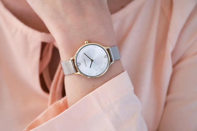 Skagen anita skw2340 discount
