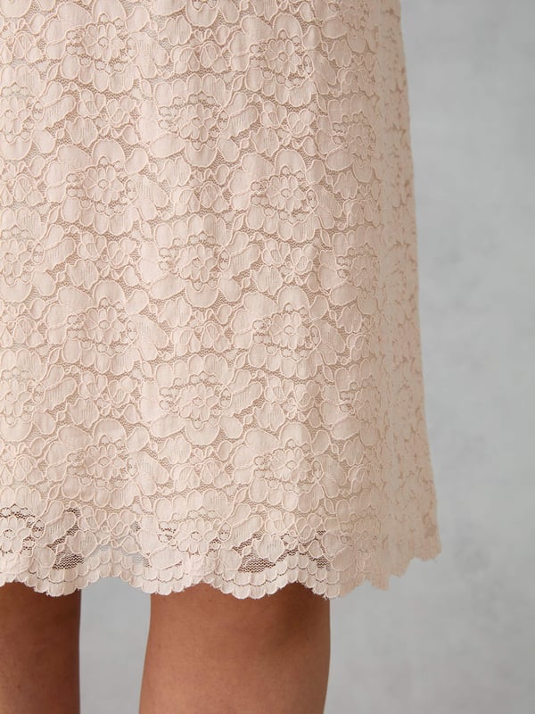 Cut from a beautiful lace in a sophisticated blush pink colour, this dress is fully lined with a breathable woven lining. It has a round neck and a flattering sleeveless, knee-length shape with a scalloped hem, making it the perfect wedding guest dress.