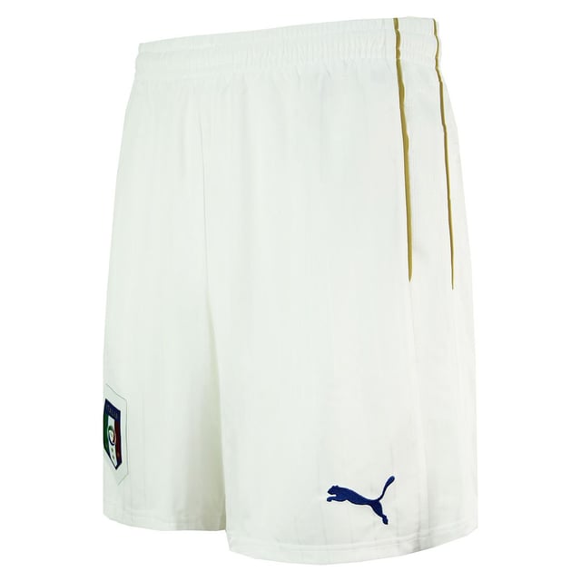 Puma shorts hotsell mens 2014