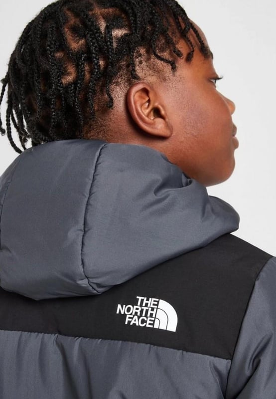 The north face vanadis grey on sale