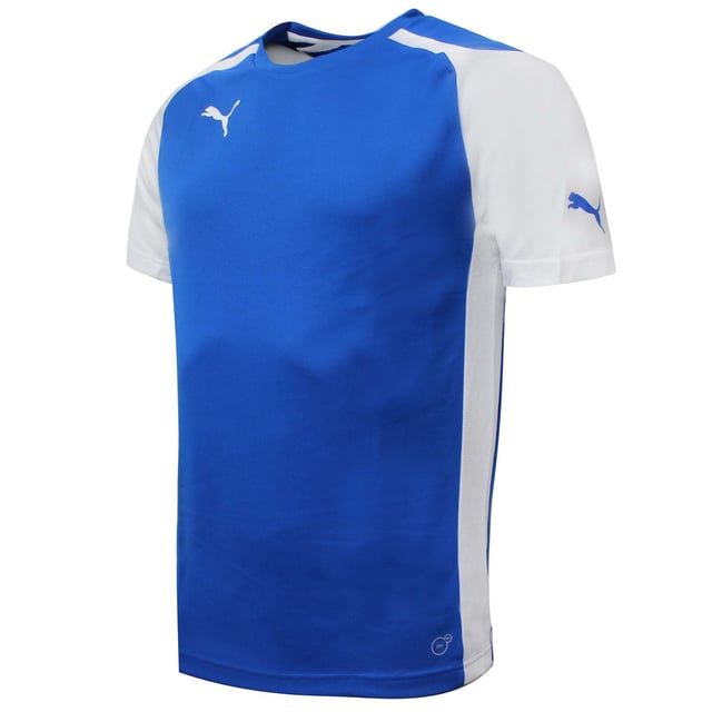 Puma sales speed jersey