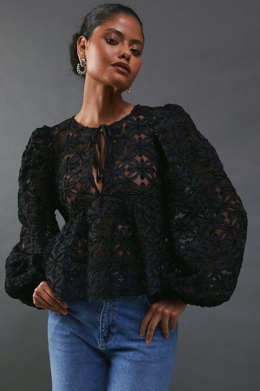 Sheer organza top 2025