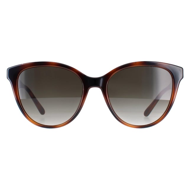 Las gafas de sol Salvatore Ferragamo SF1073S 240 gris tortuga degradado son unas elegantes monturas cat eye fabricadas en acetato ligero. El icónico logotipo de Salvatore Ferragamo está sutilmente grabado en las patillas, mostrando el toque característico de la marca.