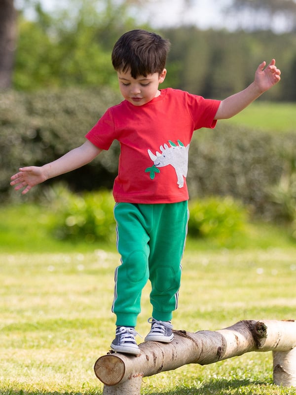 100% organic cotton | Proud to be certified to the Global Organic Textile Standard (GOTS) | Rhino and bird appliqué design | OEKO-TEX Standard 100 (Product class I) appliqué backing | Red | Single jersey (180-190 gsm) | Popper shoulder opening (up to and including size 3 years) | Short sleeved | Round neck | Made in Turkey | Machine washable at 40 degrees, or at 30 degrees to be kinder to the planet