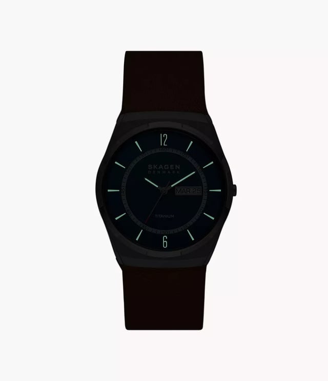 Skagen melbye hotsell titanium watch