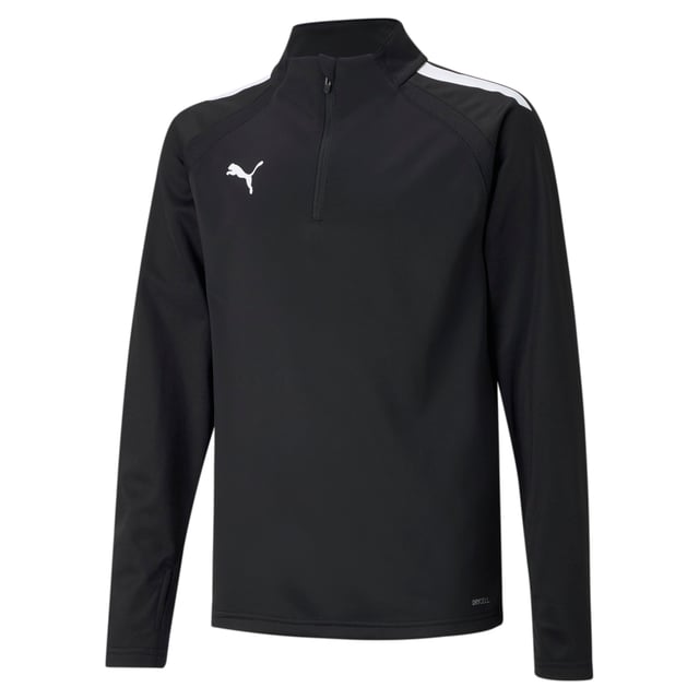 Puma alexander best sale mcqueen quarter zip