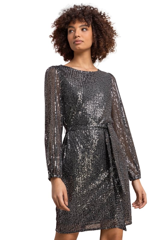 Sheer Sleeve Dress