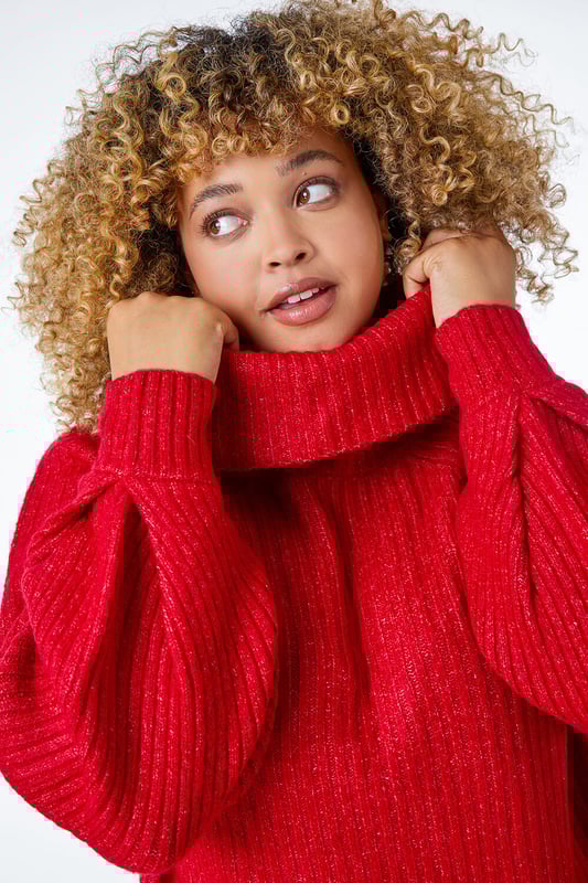 Curve Longline Turtle Neck Jumper