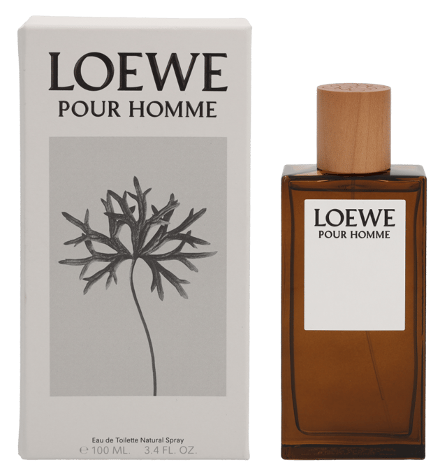 Loewe men's fragrance clearance