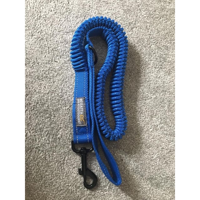 Regatta dog lead on sale