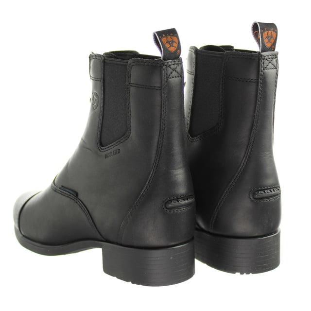 Ariat store bromont pro