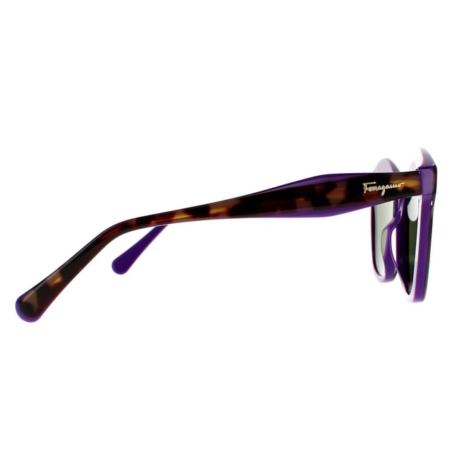 Ferragamo store havana sunglasses