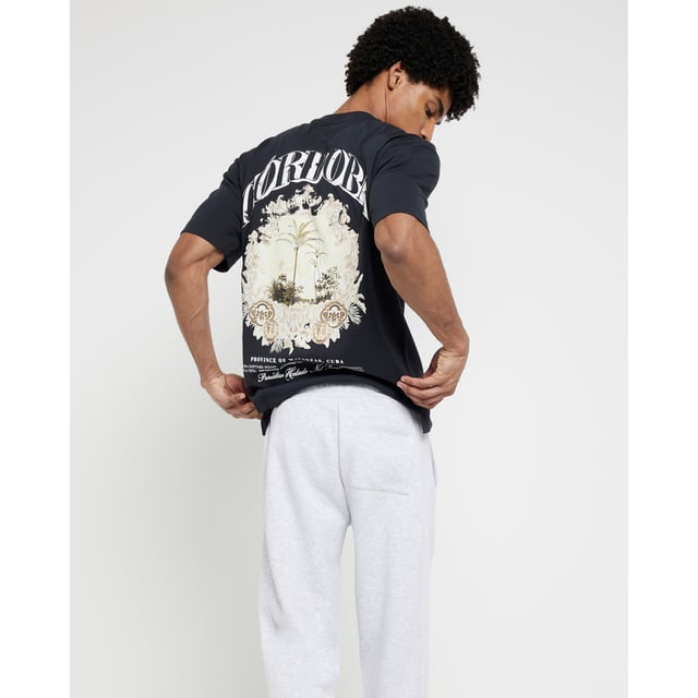 Regular fit, Graphic print, Crew neckline, Short sleeves