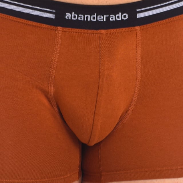 El bóxer de algodón elástico con cintura extra suave para hombre, también conocido como "calzoncillo de algodón elástico con banda ultra suave" o "pantalón interior de algodón con cintura extra confortable", es una elección destacada para aquellos que valoran tanto la comodidad como la suavidad en su ropa interior diaria.

Este bóxer está confeccionado con una mezcla de algodón y elastano, que proporciona una sensación suave y flexible contra la piel. La elasticidad del material permite un ajuste ceñido que se adapta cómodamente a la forma del cuerpo, ofreciendo soporte adecuado sin restricciones.

La cintura extra suave del bóxer asegura un ajuste confortable y sin marcas, ideal para llevar durante todo el día. Esta característica no solo mejora la comodidad, sino que también añade un toque de suavidad adicional, evitando cualquier sensación de incomodidad.

Las costuras planas en el bóxer de algodón elástico minimizan la fricción y evitan las irritaciones en la piel, proporcionando una experiencia de uso sin molestias. Este diseño funcional y práctico lo hace perfecto para uso diario y para cualquier actividad que requiera movimientos libres y confortables.

Disponible en una variedad de colores clásicos y modernos, el bóxer de algodón elástico con cintura extra suave combina estilo con funcionalidad. Es una opción ideal para hombres que buscan una ropa interior que ofrezca tanto confort como un ajuste perfecto.

El bóxer de algodón elástico con cintura extra suave es la elección perfecta para aquellos hombres que priorizan la suavidad, la comodidad y la flexibilidad en su ropa interior. Este bóxer garantiza una sensación agradable y un ajuste óptimo, asegurando una experiencia de uso satisfactoria en todo momento.
 Composición: 96% Algodón, 4% Elastano.
 Cuidados:
- Lavar a temperatura máx. 40º.
- No usar lejía.
- No usar secadora.
- No planchar.
- No lavar en seco.