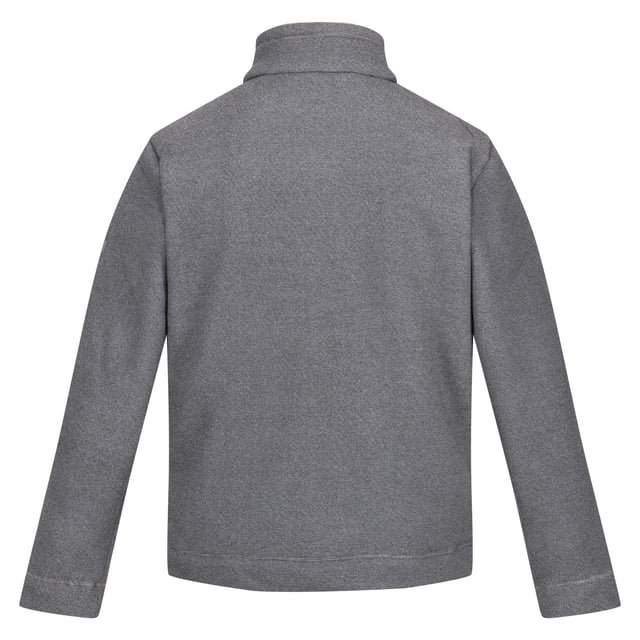 Pantalon de randonnée Femme Regatta CHASKA CAPRI II Gris Sport 2000