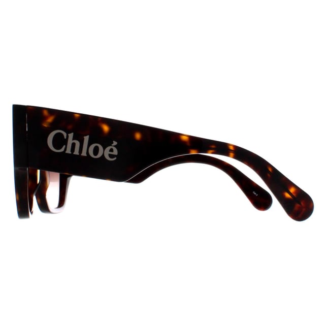Las gafas de sol Chloe Square Womens Dark Havana Brown Gradient CH0233S son una mezcla de sofisticación y encanto moderno. Estas monturas cuadradas de gran tamaño ofrecen confianza y cobertura, y están meticulosamente diseñadas para complementar cualquier forma de rostro. El icónico logotipo de Chloe delicadamente grabado en la patilla es sinónimo de su refinada artesanía.