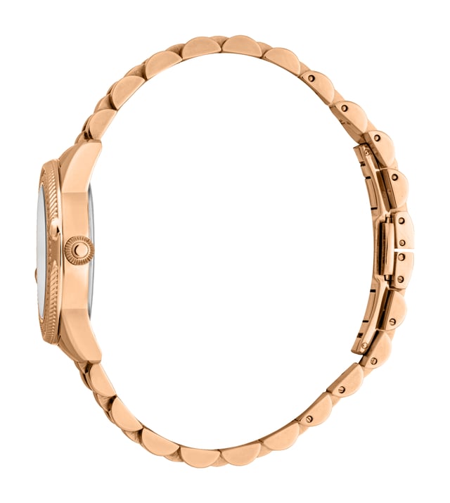 RC5L063M0075 Roberto Cavalli 4894626219573 Women Quartz Stainless Steel Silver Stainless Steel 5 ATM 32 mm