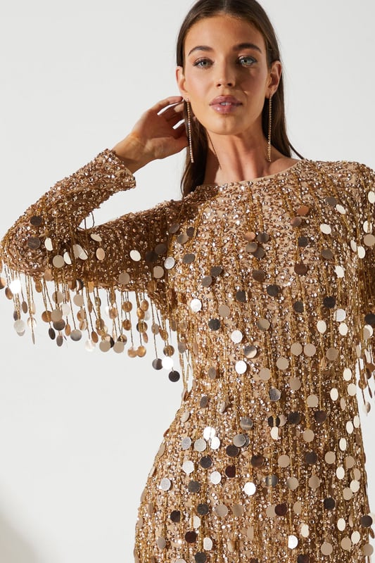 Premium Embellished Fringe And Disc Sequin Column Dress