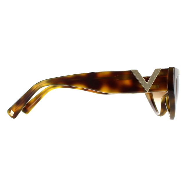 Valentino best sale va4063 sunglasses