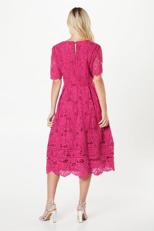Petite Occasion Lace Fit Flare Midi Dress
