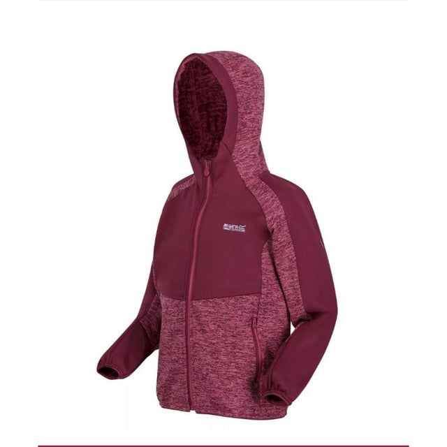 Amaranth champion hoodie top