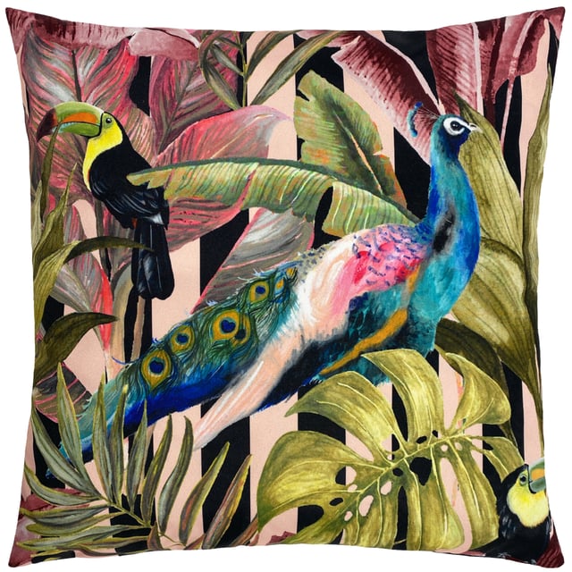 Add drama to your garden with a striking jungle themed cushion. This cushion captures a Toucan and Peacock on a backdrop of tropical leaves and flowers in their bright and natural colours, which makes it a beautiful addition to any home.
