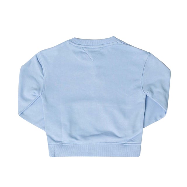 Light blue tommy hilfiger sweatshirt online
