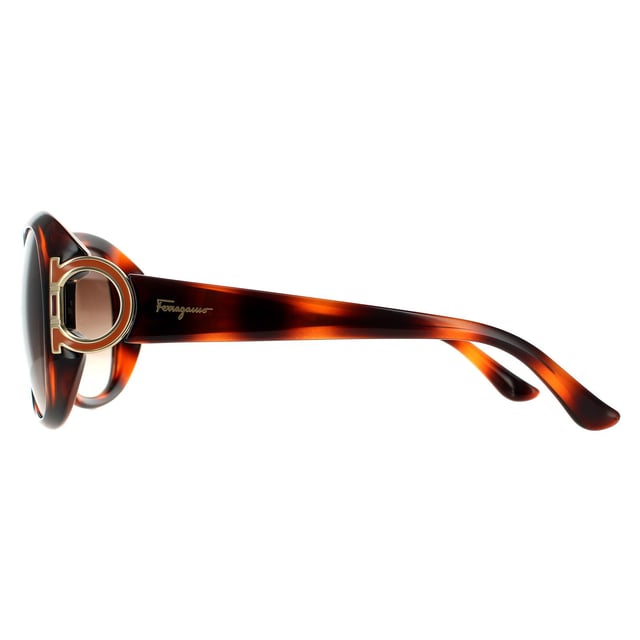 Ferragamo top tortoise sunglasses