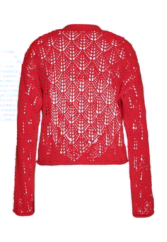 Ontdek een chique toevoeging aan je garderobe met dit opengewerkte vest. Dit button-down-stuk heeft een kortere snit, een V-hals, lange mouwen en een charmant ontwerp. Het ingewikkelde breipatroon zorgt voor een doorschijnend effect, perfect om in stijl te dragen. Dit lichtgewicht vest straalt casual elegantie uit.  Vest