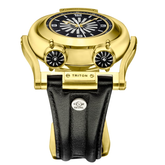 Watch spinning deals case