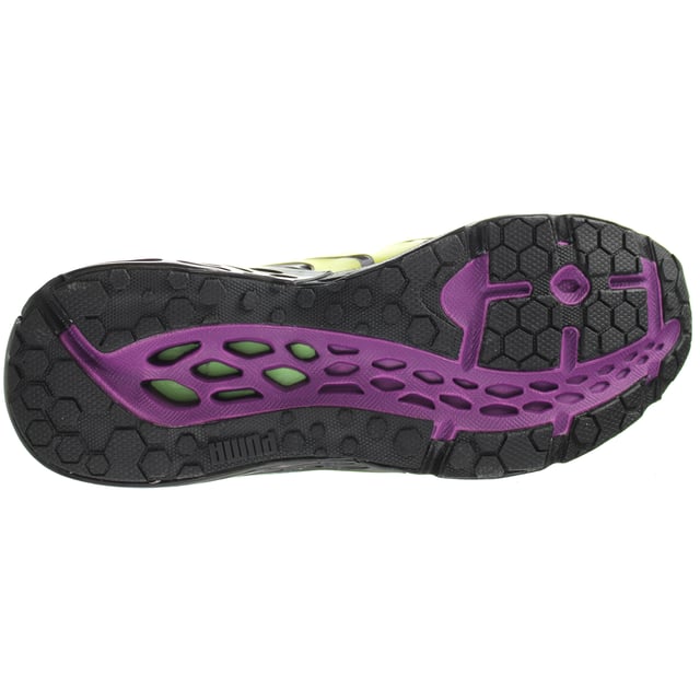 Puma bioweb online