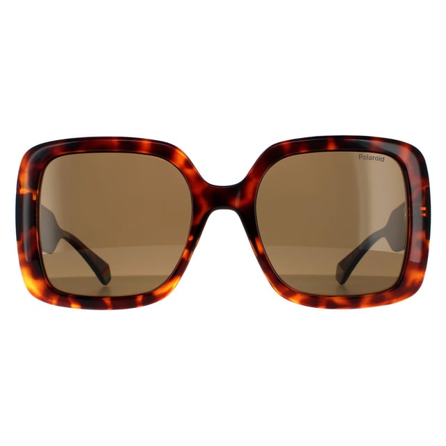 Bronze polarized sunglasses store