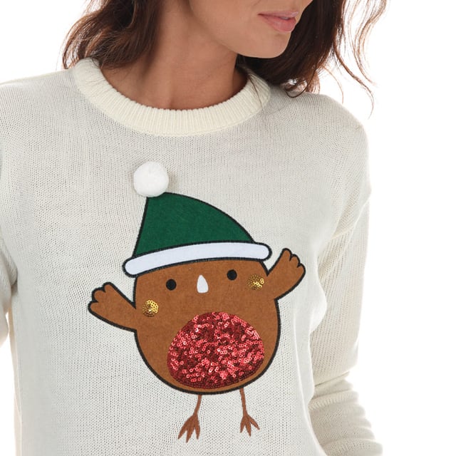 Women's robin christmas jumper online