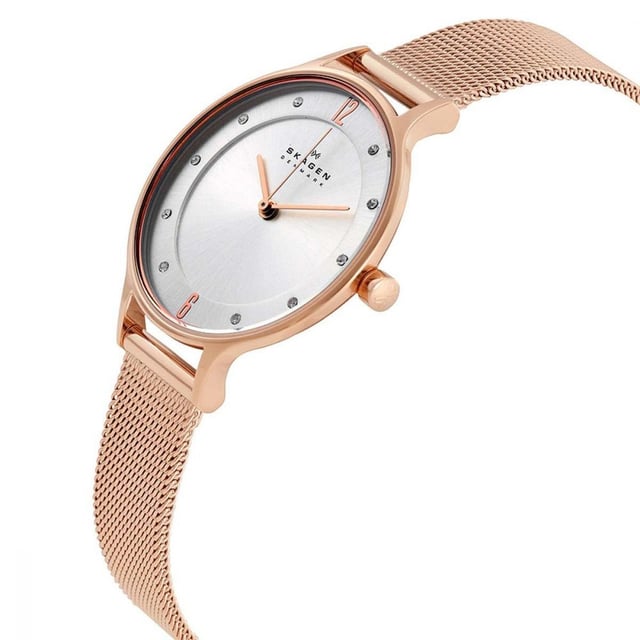Skagen skw2151 clearance