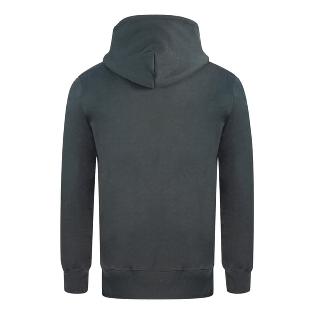 Champion icon cheap hoodie