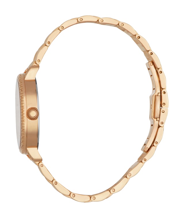 RC5L034M0065 Roberto Cavalli 4894626189746 Womens Quartz Stainless Steel Silver Stainless Steel 5 ATM 32 mm Watch
