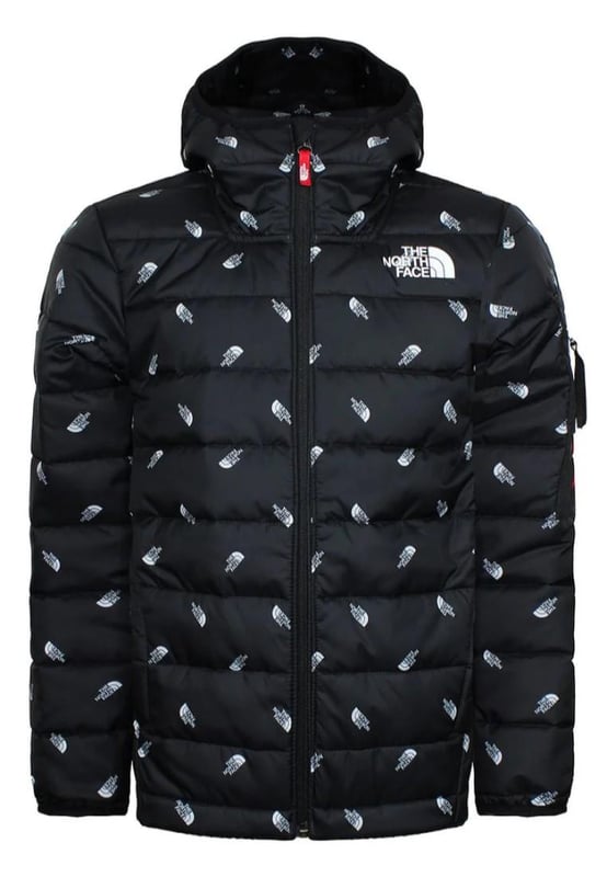 North face sales puffer jacket boys